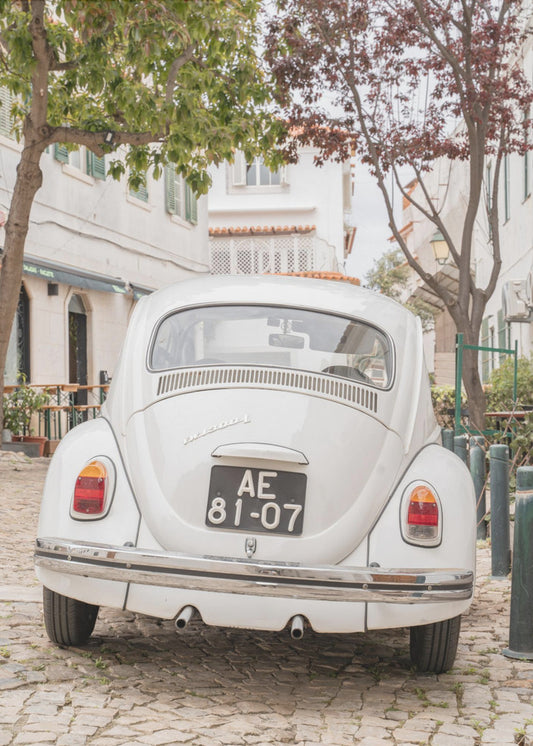 Driving Cascais | Canvas