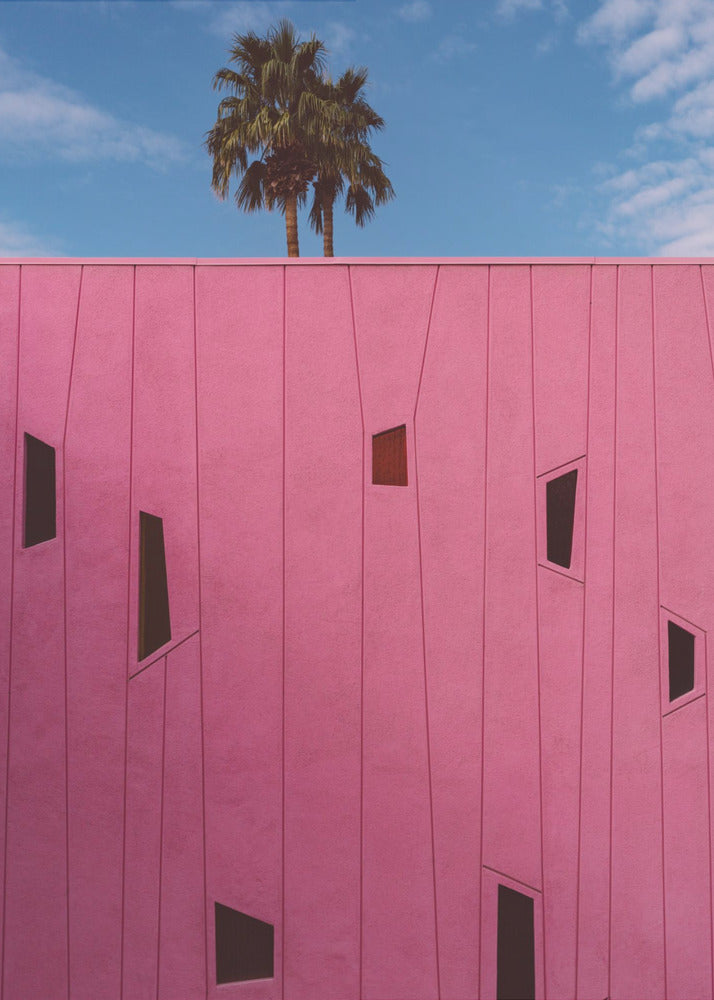 Palm Springs Vibes III | Lærredsbilleder