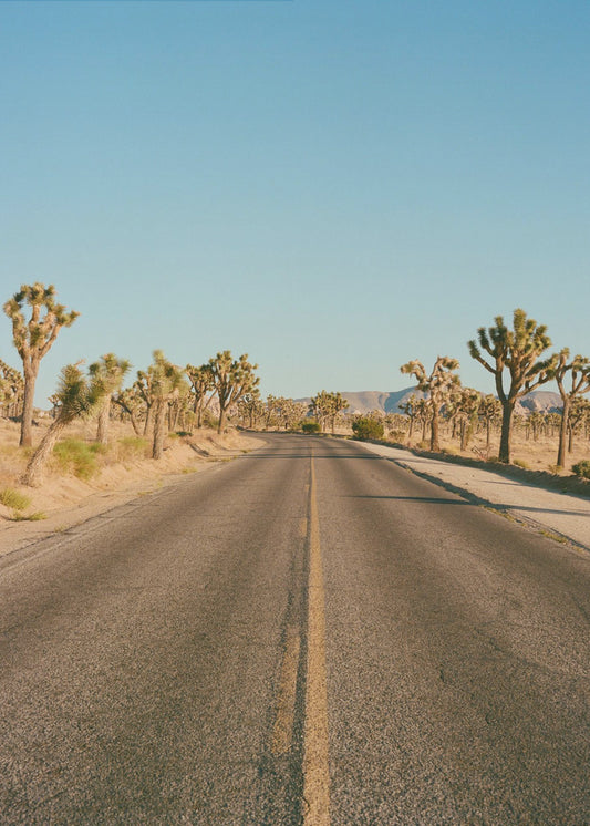 Route de Joshua Tree II | Tableaux sur Toile