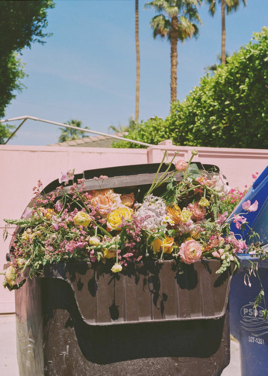 Bordure de Palm Springs | Tableaux sur Toile