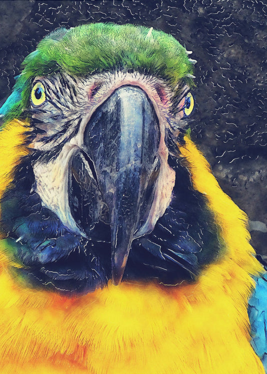 Animals Parrot Watercolor Animal Art | Poster