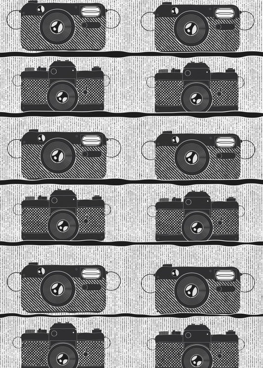 Camera Store | Canvas