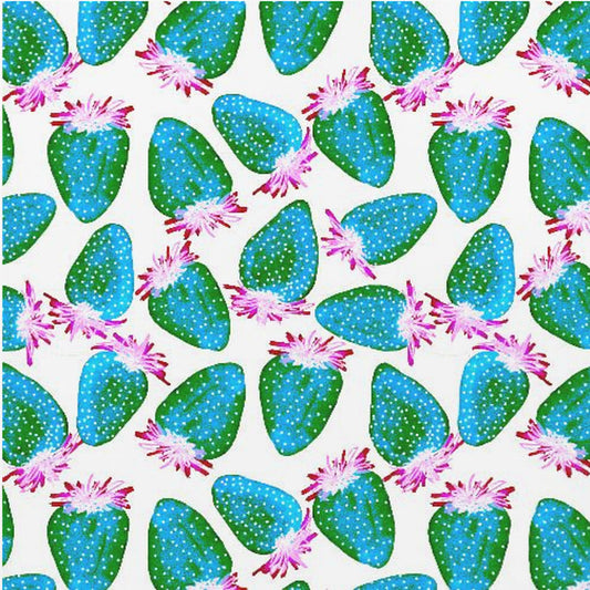 Fragole verdi turchesi | Poster - Stampe d’Arte