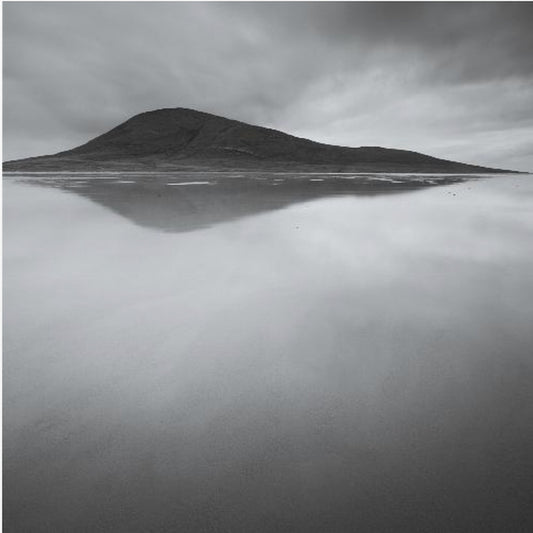 Dichotomie | Tableaux sur Toile