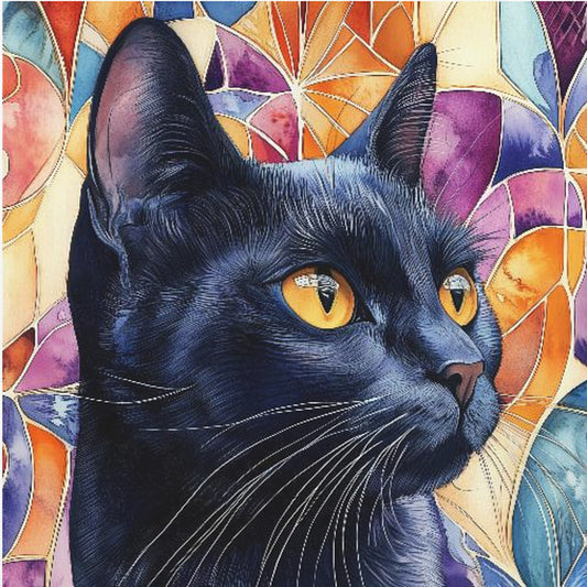 Black Cat Rocky | Poster